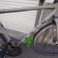 (値下げ)marine NOVATO