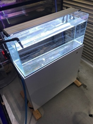 900オールガラス水槽　フレームレス水槽　ハイタイプ‼️