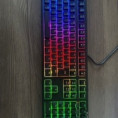 REALFORCE RGB / AEAX02 東プレ　ゲーミング...