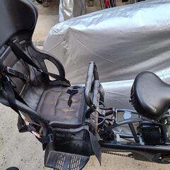 パナソニック Panasonic BE-ELMA03N 電動アシスト自転車 ギュット・アニーズ 20型 内装3段変速 8.0Ah プラズマグレー