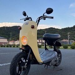 【決まりました】スズキ チョイノリ 実働車