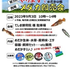 第三回メダカイベント🐟