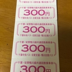 【カピーナ号】300円券×7枚