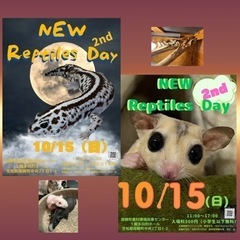 New Reptiles Day 𝟮𝗻𝗱 