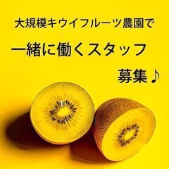 【急募】スタッフ募集〔土日休み/正社員登用あり〕未経験者歓迎♪　...