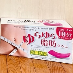 使用頻度少なめ　フィットネス