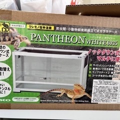 爬虫類飼育スターターセット【おまけ付き】