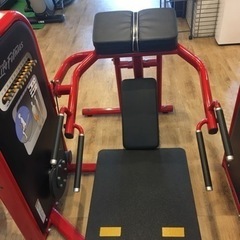 美品。lifefitness 社製 サーキットシリーズ スクワッ...