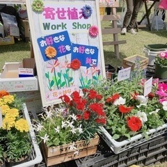 季節の花の寄せ植えワークショップ