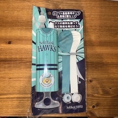 野球チケット ソフトバンクvs PayPayドーム　