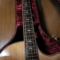 Taylor 814 V class