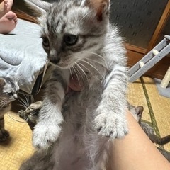 もうすぐ3ヶ月です(*^^*)