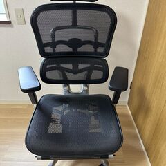 Ergohuman PRO Ottoman black エルゴヒ...