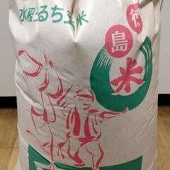 今年の新米!!(8/28)収穫!!30㌔(玄米)