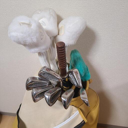 【お相手決定しました】MIZUNO Champion レディースゴルフクラブ11本セット