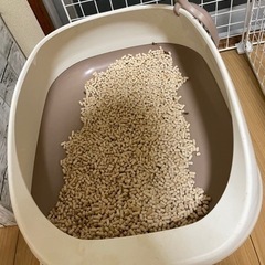 猫ちゃん用デオトイレ