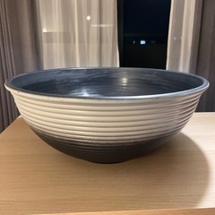 メダカ　ビオトープ　プラスチック睡蓮鉢