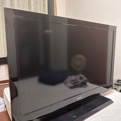 テレビ　使えます　横98cm  縦60センチ　モニターのみ