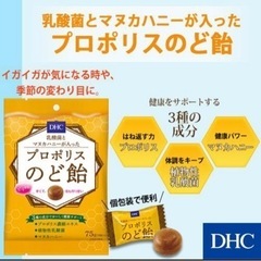 DHC 乳酸菌とマヌカハニーが入ったプロポリスのど飴　賞味期限2...