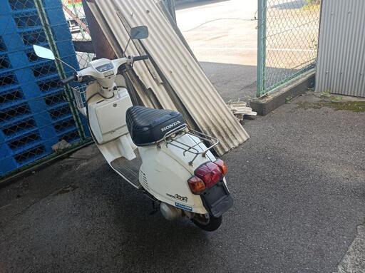 (希少)HONDA タクト フルマーク