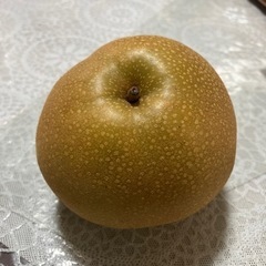 なし　７玉1,000円※決まりました