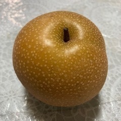 大好評！なし　７玉※決まりました