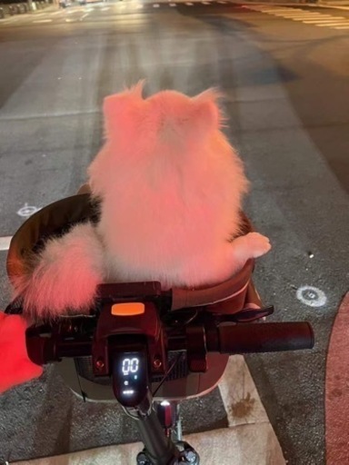 RUNBER 大容量折りたたみ電動自転車　後部座席とステップ付き「防犯登録済」
