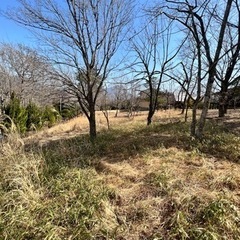 【ネット決済・配送可】土地　由布市湯布院町川北