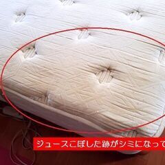 ?FRANCE BED? フランスベッド 暖かいマットレスヒーター内臓 ダブル