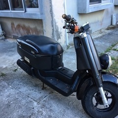 BOX   50cc