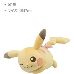 ポケモン1番くじ　A賞