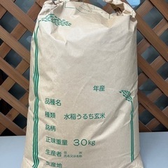 【キャンセル分1袋限定】2022年収穫 キヌムスメ玄米30kg ...