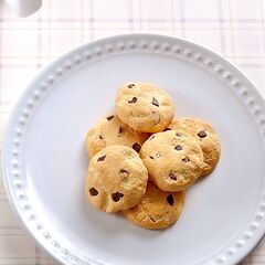【フェイクスイーツ体験】粘土で作るチョコチップクッキー【横浜市青葉区】
