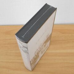 新品 VHS 熱砂の舞 The Son of The Sheik ルドルフ・ヴァレンチノ