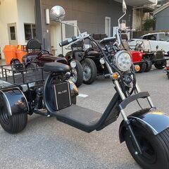 【メーカー整備品　試乗車】BLAZE EV TRIKE　ブ…