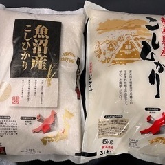 取引決定　魚沼産コシヒカリ　新潟県産コシヒカリ　お米10kg