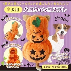 【新品未使用】犬用　ハロウィンコス　かぼちゃ