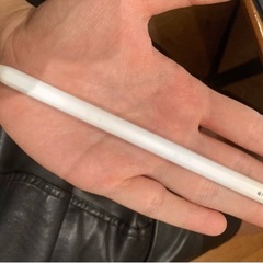 ほぼ新品の Apple Pencil 2（状態9.5）アップルペ...