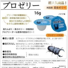 プロゼリー　カブトムシ　クワガタ　ゼリー　栄養価