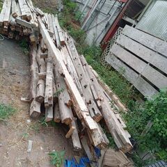 再利用可能な木材　柱と梁