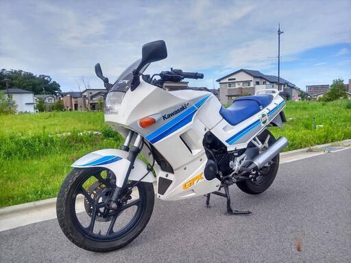 【配送可能\u0026整備済み】カワサキ　GPX250R　中型　250cc　MT　ツアラー　45馬力　レアカラー