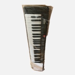 電子キーボード 61鍵盤 電子ピアノ　RiZKiZ  【8/31...