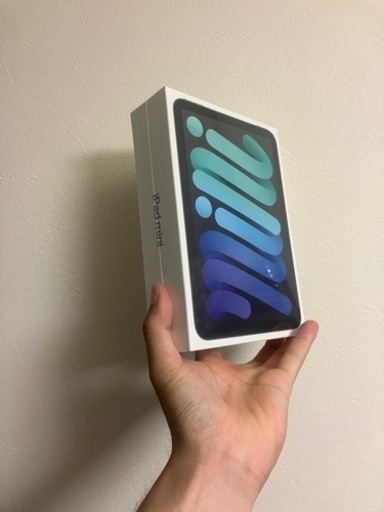 iPad mini 256GB  6世代