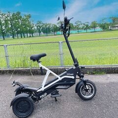 試乗出来ます！マイクロモビリティ(電動モーターサイクル)　各種ブ...