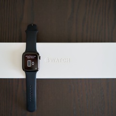 Apple Watch 44mm Series 4 ステンレス（...