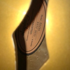 エピフォン　ES295 ヤマハTHR5付き