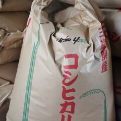 令和４年　コシヒカリ　玄米20キロ　★からだにやさしい有機肥料使用　