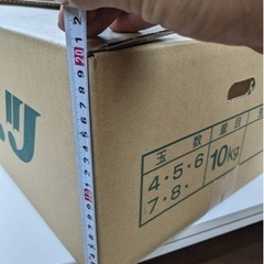 半額以下キャベツダンボール新品2000枚　