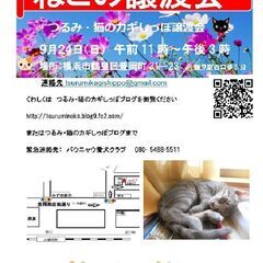 つるみ・猫のカギしっぽ譲渡会９月２４日　 JR鶴見駅西口から徒歩...