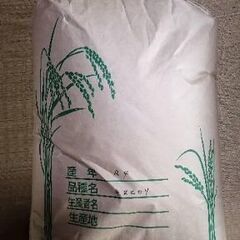 令和四年産　キヌヒカリ玄米30kg